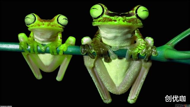 运势|10月不出彩，11月运势如虹，3大星座时来运转，招财纳福