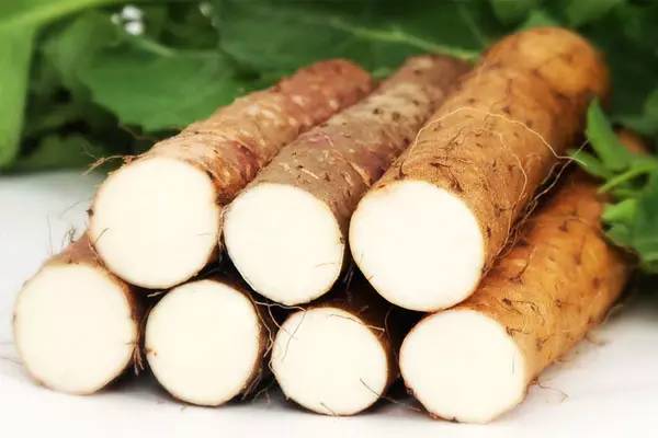 「胃病」高血压别总吃药，常吃以下几种食物，血压或能逐渐降下来！