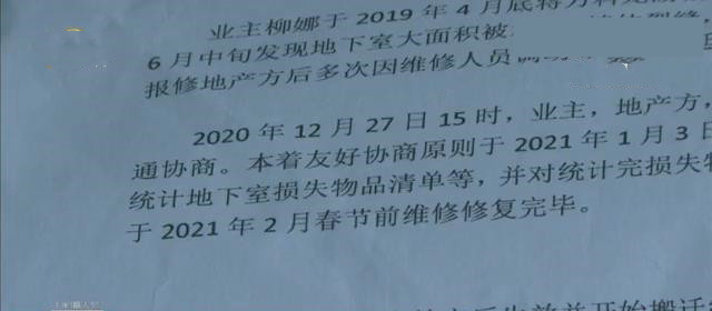 二十三 新房地下室漏水，女子人参虫草被泡损失十几万，开发商一年多没赔偿：漫天要价