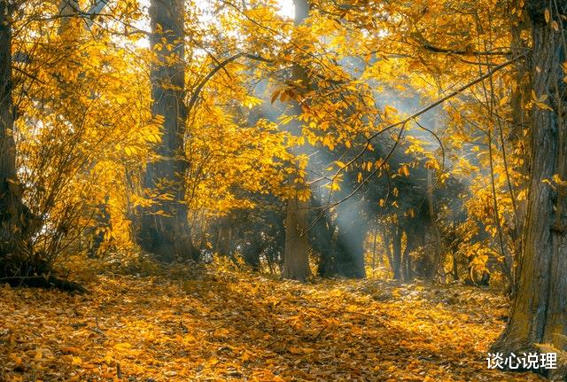 『巨蟹座』5月，蓦然回首，深情依旧，3星座重归于好，余生相依，形影不离