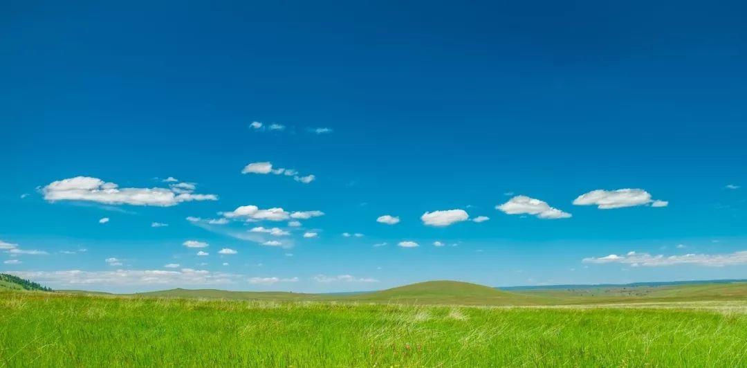 生肖|中秋将至，大红大紫、大有作为，10月双喜临门，大运翻身，一声不响发大财