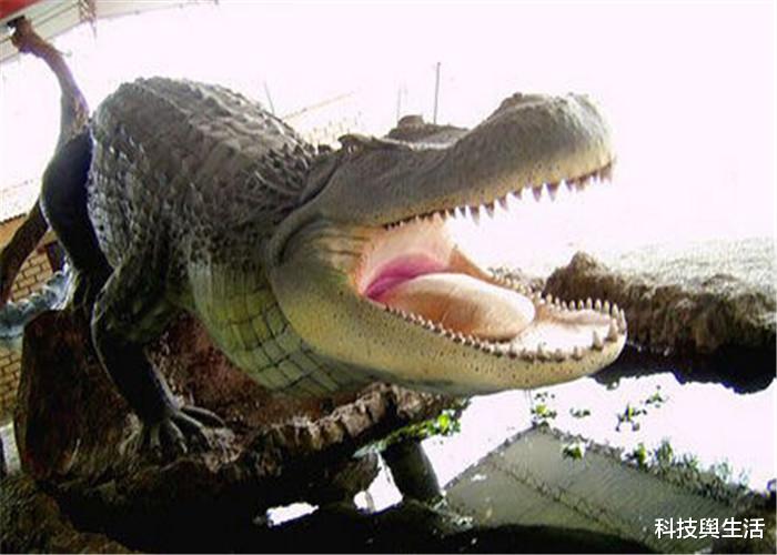 「化石」不输恐龙的远古神兽，被专家找到化石，灭绝原因令人费解！