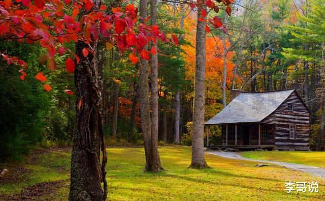 人情薄如纸，人心狠如狼！