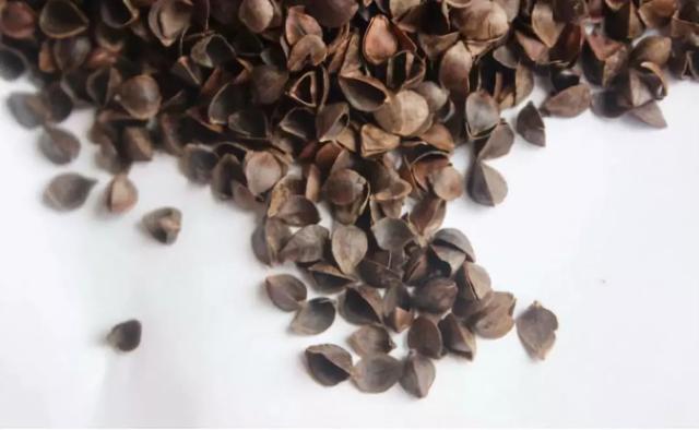 失眠|中医：失眠就是阳不入阴！要想睡得好，只知道按摩穴位可不够