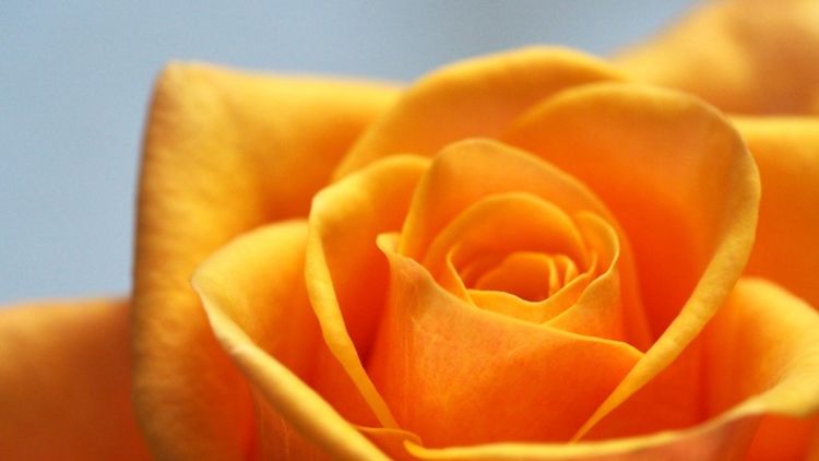 生肖|好运来了挡不住的3个生肖，近期要赚到豪车豪宅，财运旺