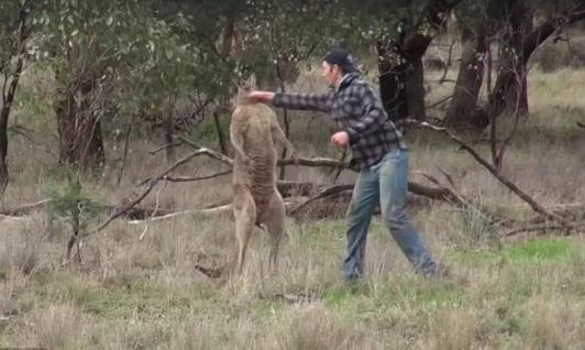 霍金■为何霍金一直劝人类离开地球？科学家大胆假设，找到三个理由