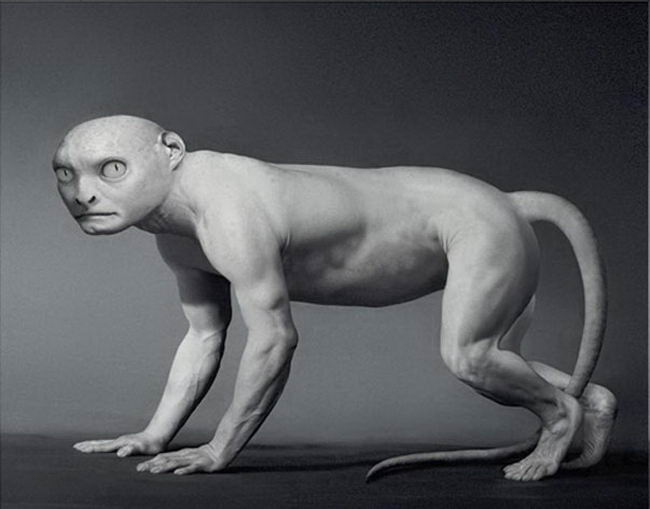 科学家|科学家展示了，人类进化的12张图像，可以看见很清晰的变化