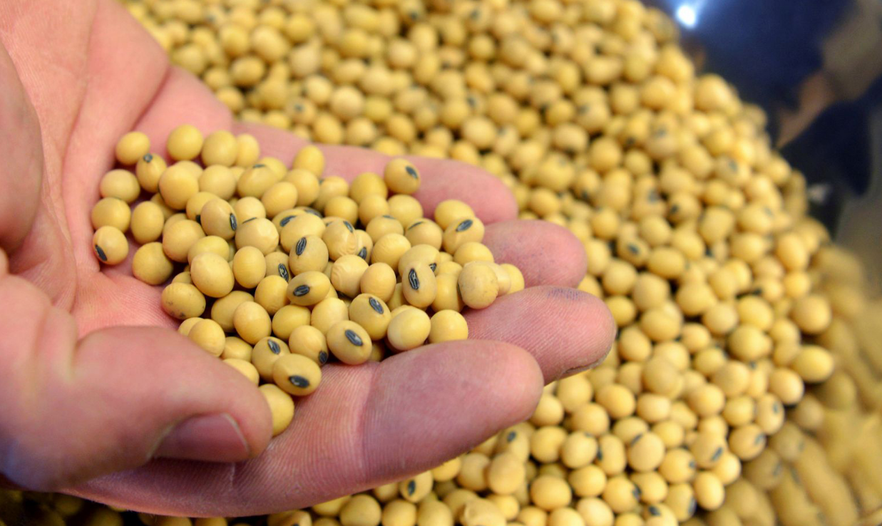 地震▲新总统以为中国好欺负，上台后果断翻脸，损失百亿后却想重新合作