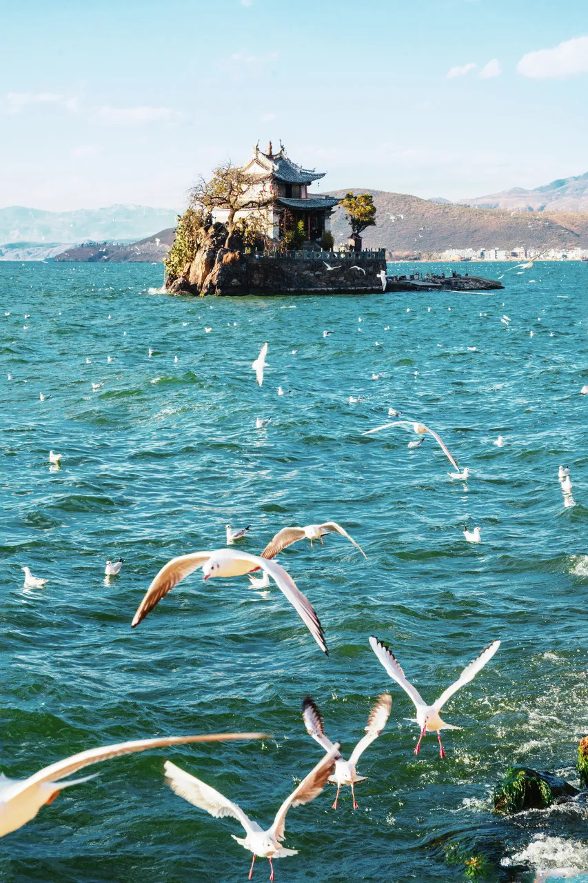 「旅行」5月最佳旅行地清单！10处绝美秘境，第一个就心动……