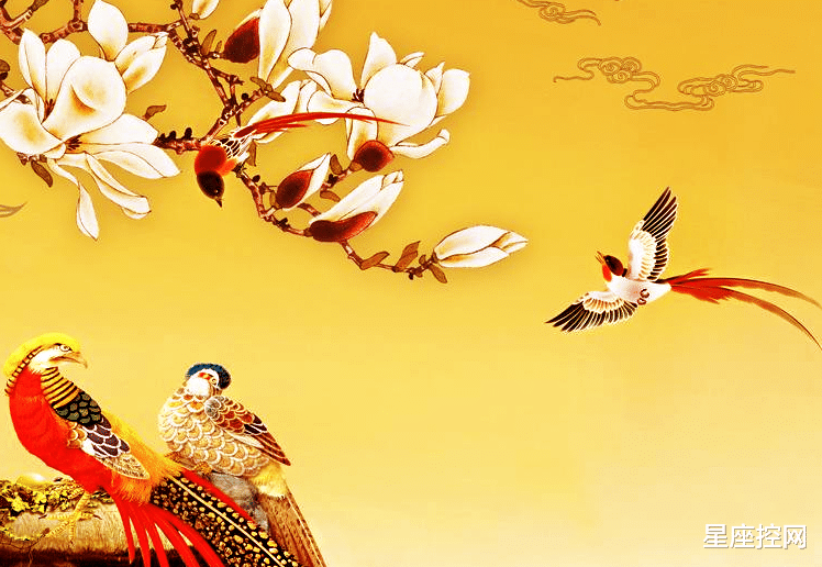 |哪些日子出生的人，智商高，善于把握机遇，靠自己奋斗改变人生