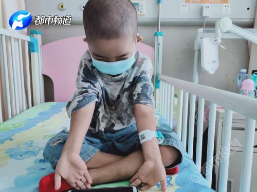 农村宅基地|心疼！南阳姐弟同患罕见病，5岁姐姐放弃治疗，忍痛做出生命选择题……