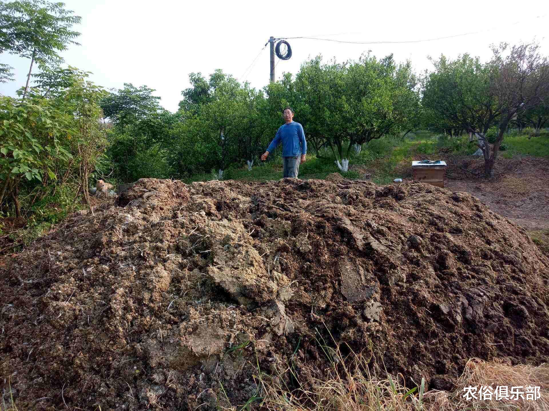 农俗俱乐部|除秸秆不让焚烧，这3件农民以前爱干的事也被禁止，真有必要禁？