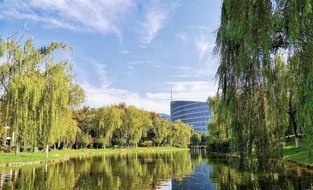 高校|今年最受关注的8所高校，除了清华北大，还有3所“双非”大学