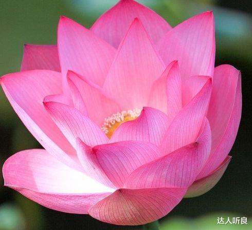 |步入9月，4属相好运袭来，事业扶摇直上，日子乐淘淘