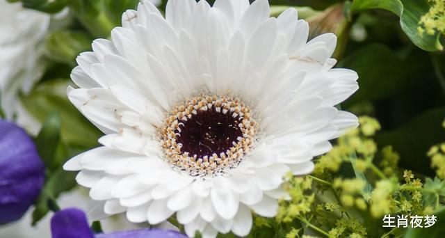 「生肖」4月底，旧情人归来，思念不断，3生肖心软复合，缠绵悱恻爱到底