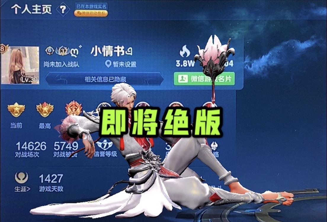 紫霞仙子|个人主页放什么皮肤能炫富？死穷鬼放云鹰飞将，他最后一次返场！