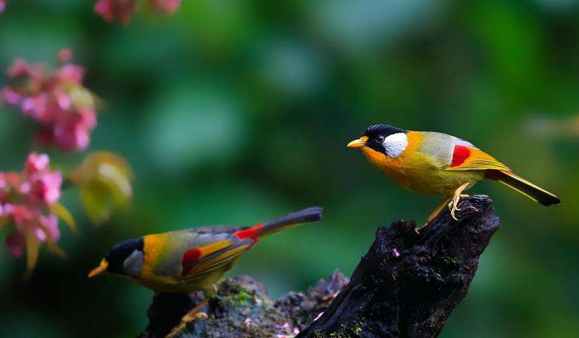 #运势#10天内运势最佳，多福多财，福寿延绵的生肖