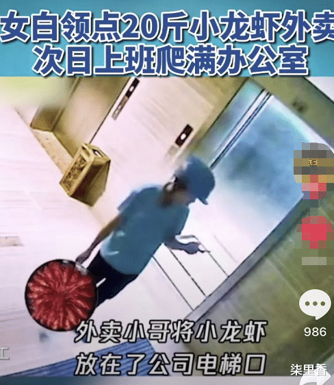 白领▲?女白领点20斤小龙虾忘记吃，结果第二天上班时，龙虾爬满了办公室