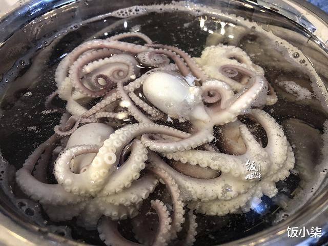 |为什么煮熟的八爪鱼咬不动？渔民指出我错误的步骤，教我正确做法