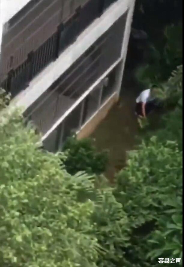 容县之声|广西一小区女孩坠楼身亡，家属的人在现场撕心裂肺！
