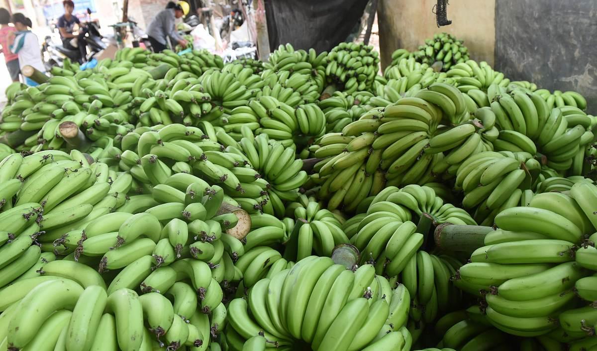 水果:6样水果医生从不碰,堪称寄生虫“集聚地”,特别第2个,切莫贪嘴