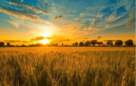 |2020庚子年，中国古代四大预言全部应验，2021辛丑年更加不容乐观