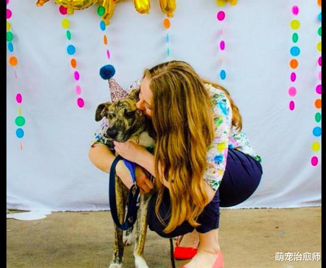 狗狗脸部被钝器打伤致畸形，一位兽医的好心救助，让它获得重生！