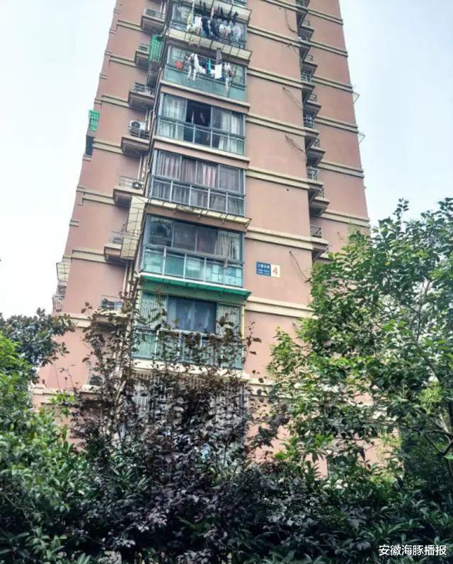 安徽海豚播报|杭州女子凌晨“人间蒸发”，家人称并无生活压力，还有7位数存款