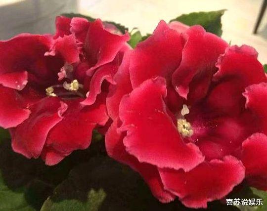 水瓶座■2周后，前任回头，依旧深爱，3星座执子之手，慢慢走到白头