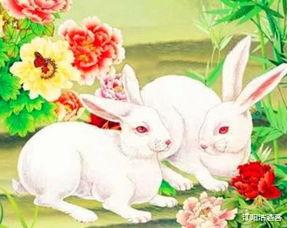 天蝎座|吉祥兔：最近七天，运势巅峰，正财横财收入囊中，人生即将逆袭