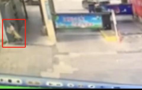 「快递」8岁女童携5岁妹妹“偷”3000元快递，家长拒绝赔偿，叫嚣：你讹人