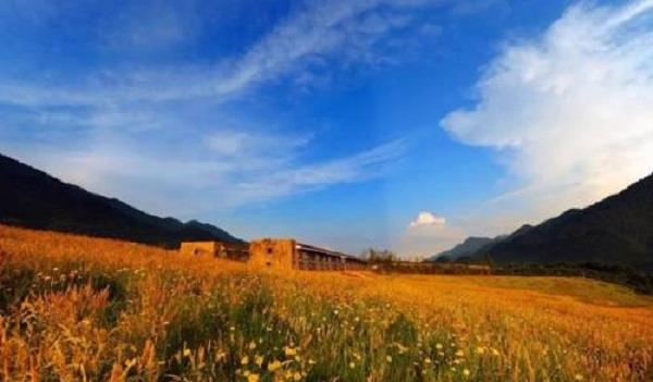 【重庆】重庆最“心酸”公园,面积是亚洲最大城市公园157倍,却鲜有人知