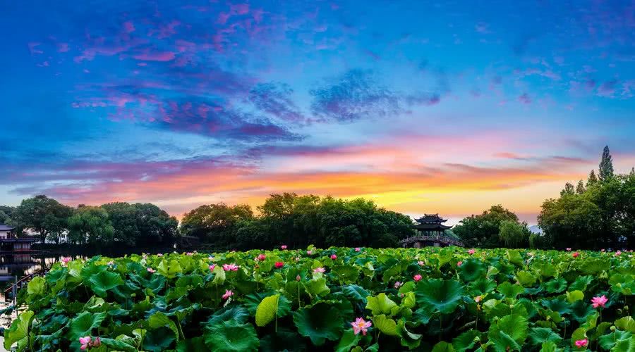 豪门■6月中旬,3大生肖财路顺畅日进斗金,事业一路高升,即将大翻身