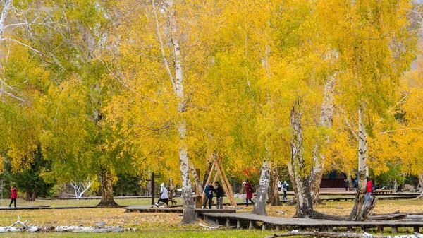 穽底村|国内赏秋最美地，秋天只有短短十几天，游客经常一边赏秋一边看雪
