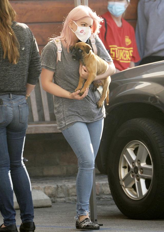 女星阿芮爾·溫特現身洛杉磯街頭，她抱的小狗很可愛-圖2