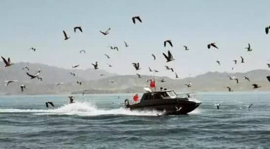 [美军]印军在班公湖快艇曝光，美专家看完照片建议撤兵，和对手差距悬殊