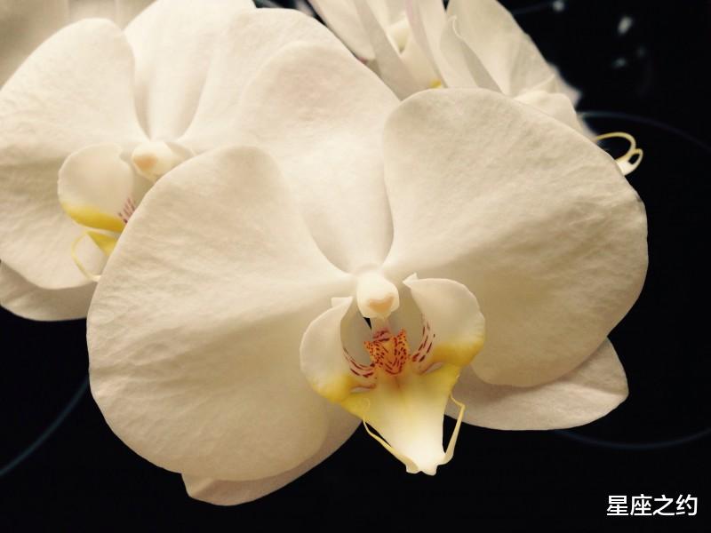 生肖|9月份星座运势成功逆袭的四大星座