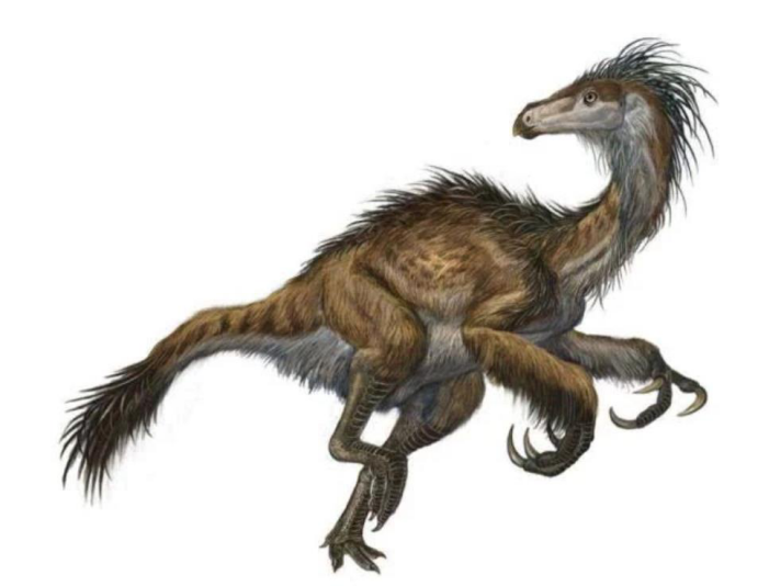 恐龙|它是恐龙的后裔，却活得毫无尊严，每年被人类吃掉500亿只