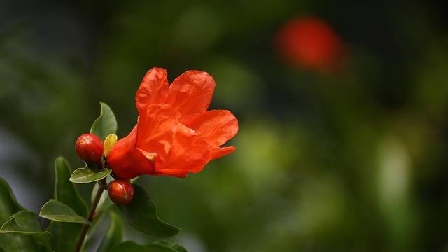 天蝎座|很有“女王范”的星座女,强大又独立,集“万千宠爱”于一身