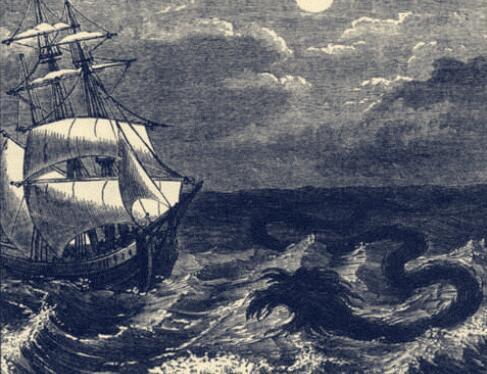 #抹香鲸#长达30米，可以捕猎抹香鲸，传说中的“大海蛇”到底是什么动物？