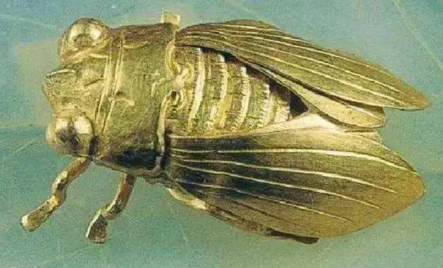 墨语笙歌|江苏发现一男四女合葬墓穴，墓中挖出一个金蝉，专家估值9个亿