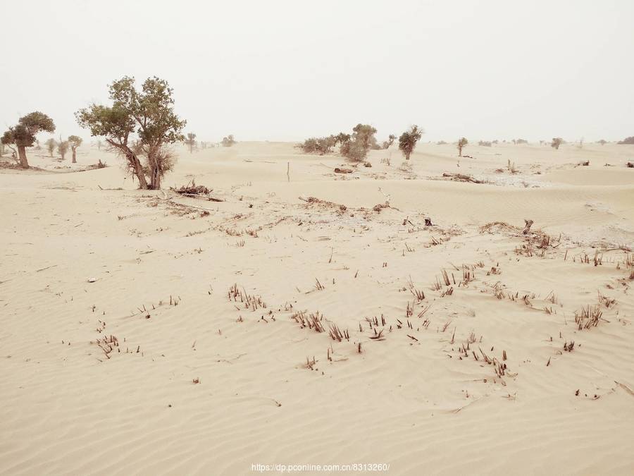 『布达拉宫』不得不去的中国十个世界之最，最后一个地方去过的人不会超过百个