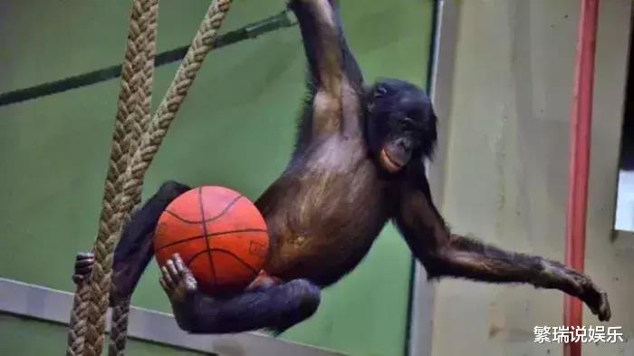 『大象』让人类羞耻的30张图