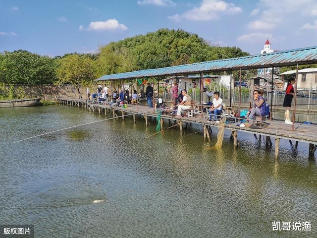 「」提竿不中鱼“空抢”多，应先分析原因，在改善钓法