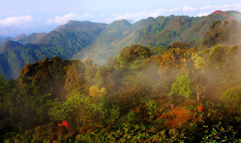 「贵州」贵州一个低调的小县城，绝佳度假之地，拥有众多自然景点