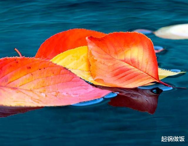 |下周喜报登门，三星座缘分不浅，喜提真爱，必定脱单