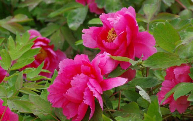 |未来10天，财源不断，横财到手，有贵人登门，锦鲤翻身的属相