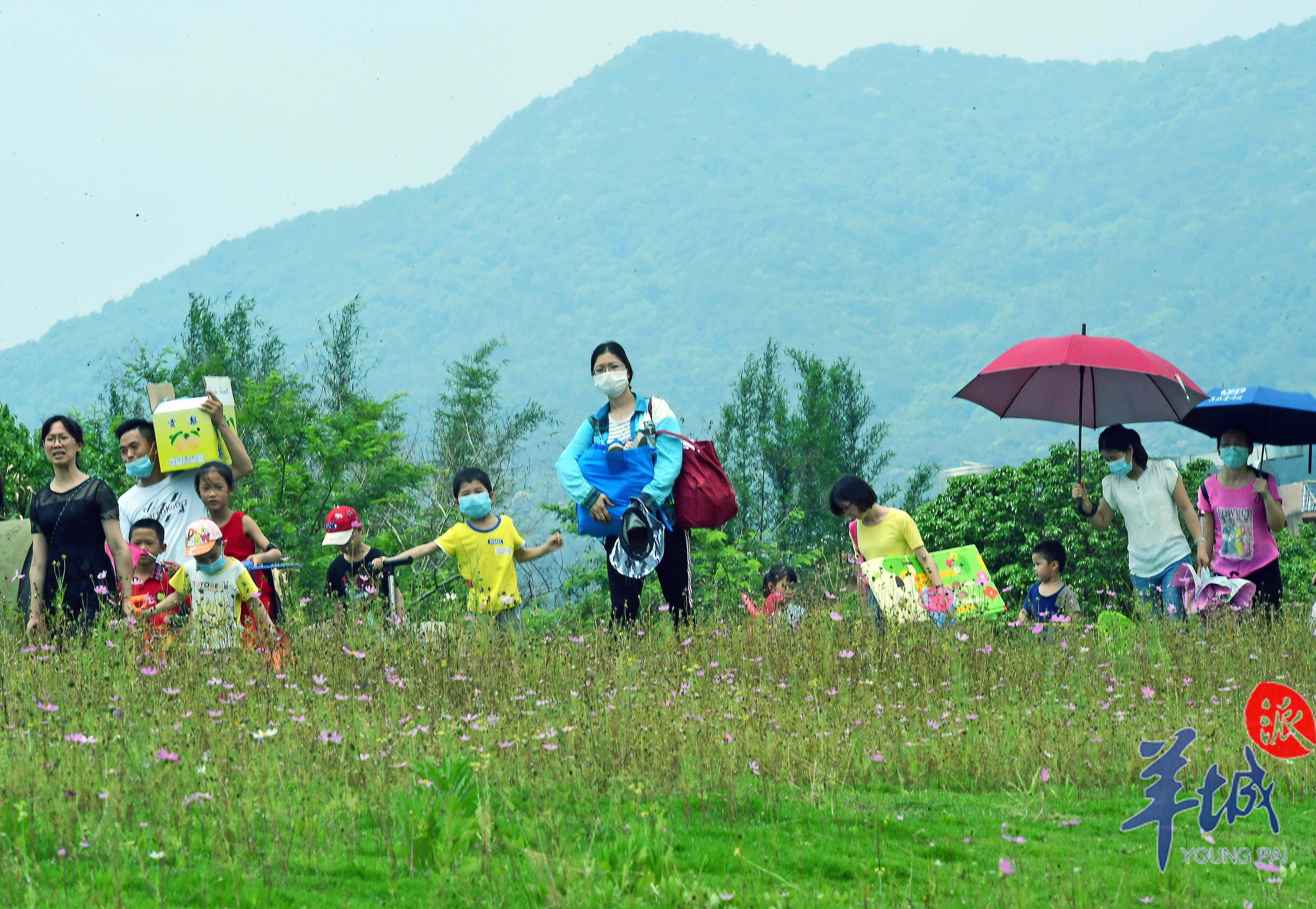 「广州市」【图集】青山绿水连成美好的诗篇!广州乡村游焕发生机