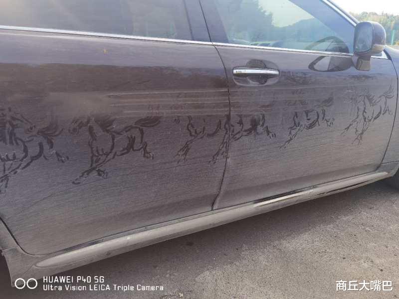 商丘大嘴巴|以车门为底作画，娄底一车门版“徐悲鸿”走红网络，网友：这车谁给洗了得倒贴钱