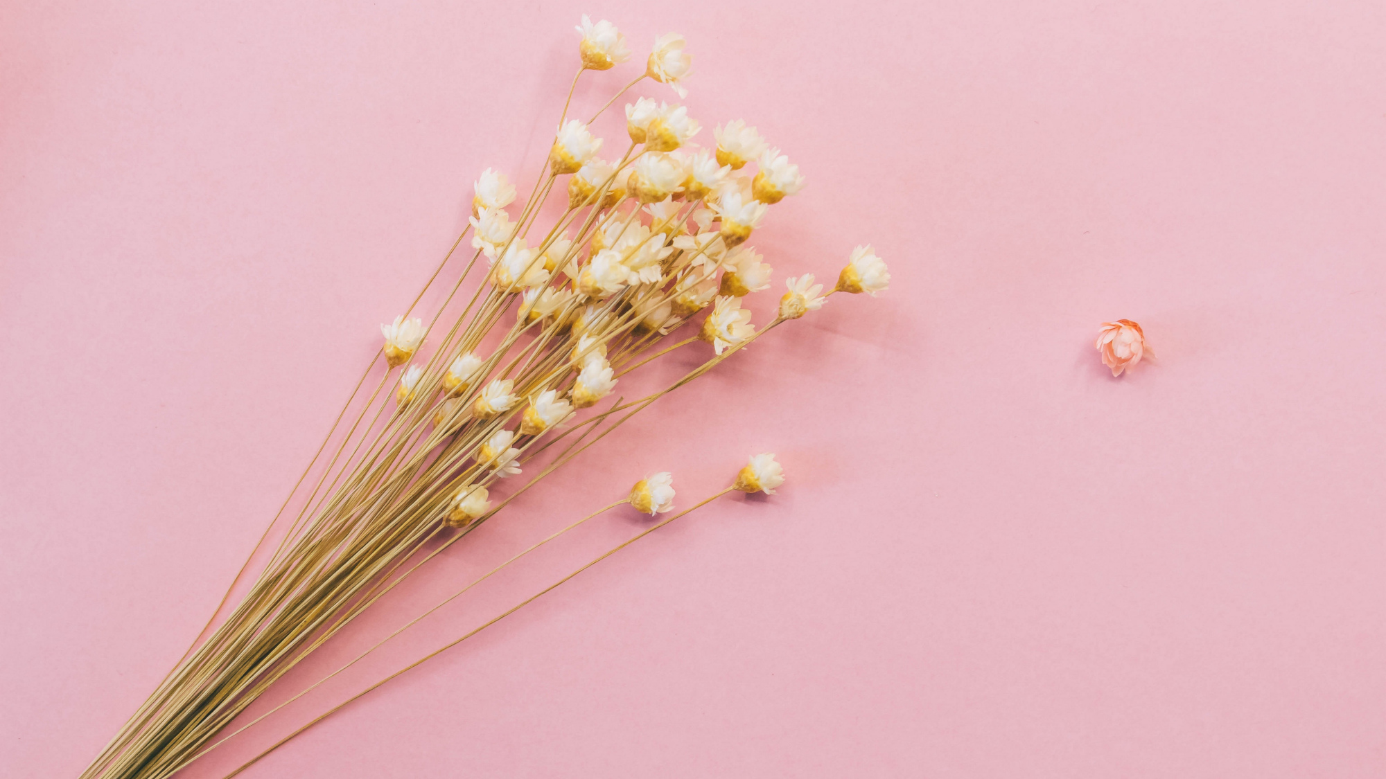 巨蟹座|11月上旬，往事随风，乌云散尽，3星座重新振作，迎接新的恋情